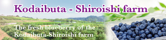 Kodaibuta-Shiroishi Farm